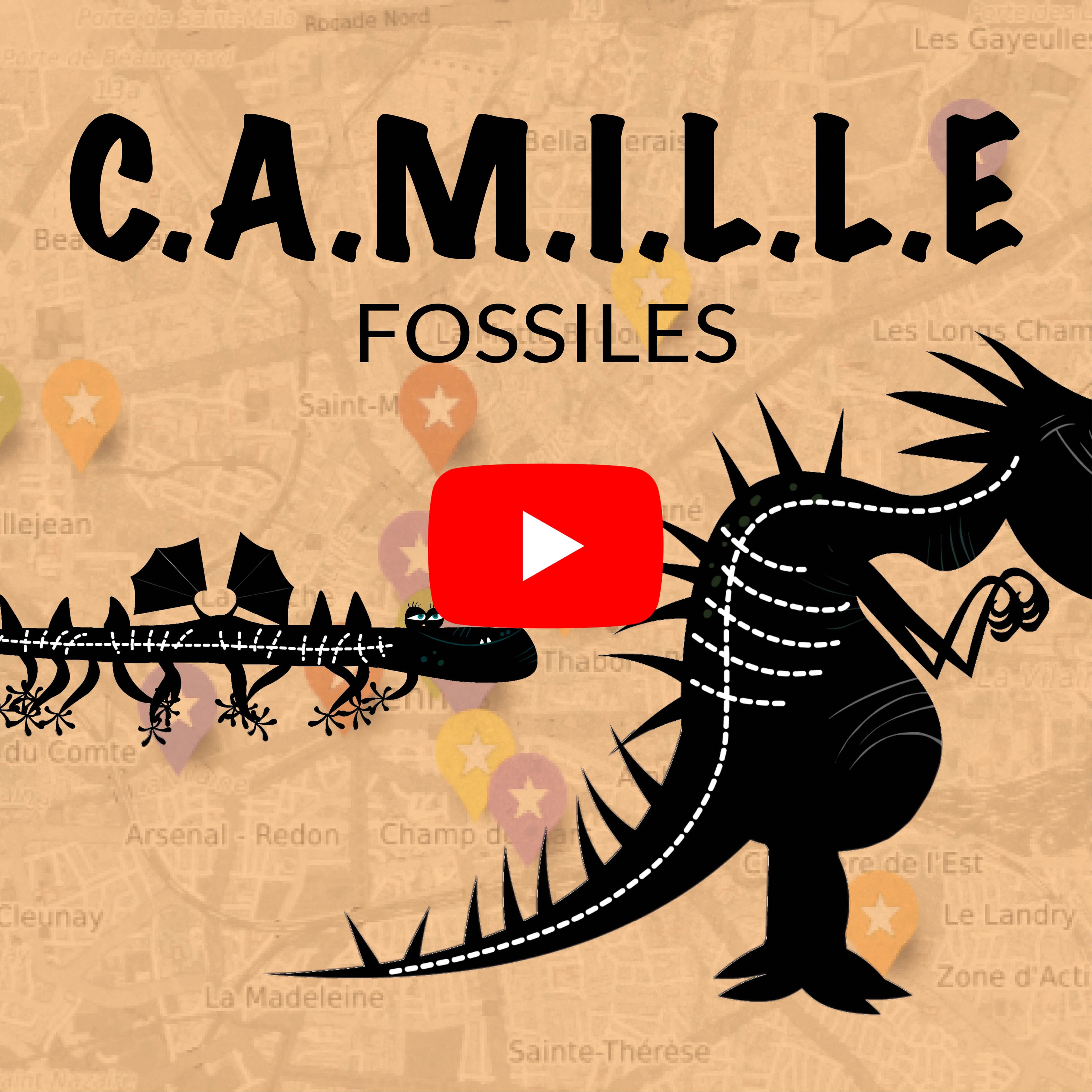 Les fossiles de Camille Saint-Saëns expliqués par Gildas Pungier