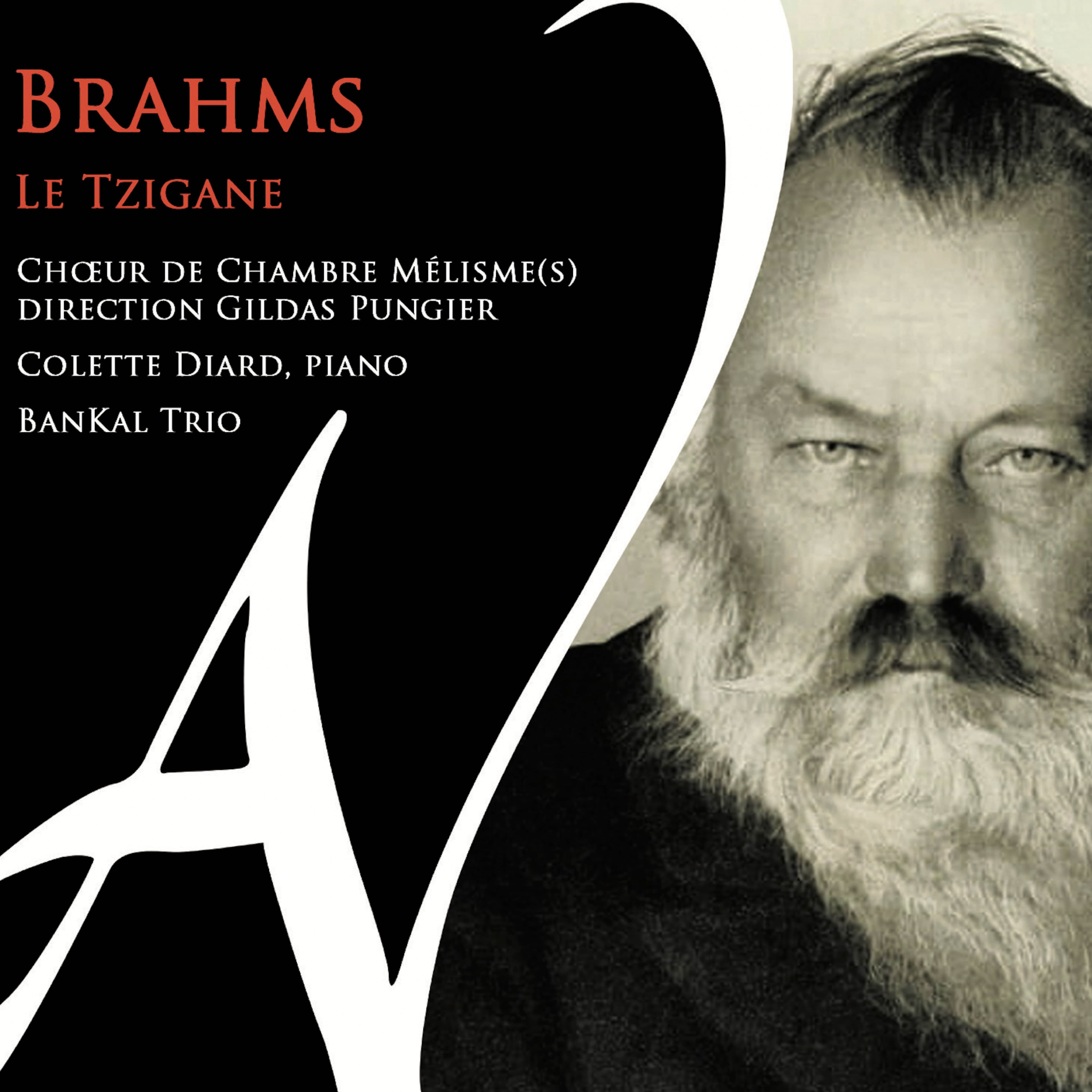 Brahms le Tzigane